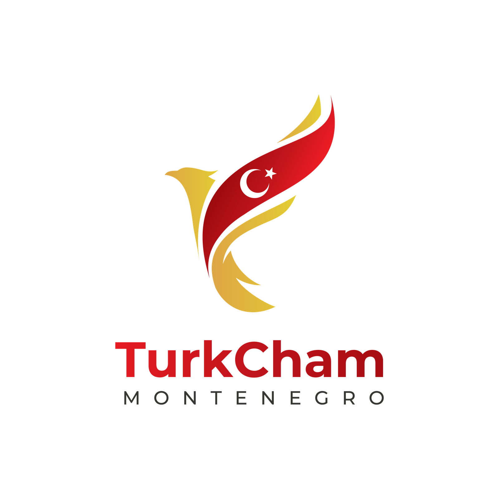TurkCham Montenegro Logo